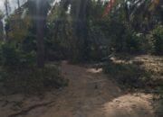 Prahara PETI Kayu Boko, Warga Gandeng 4 Pengacara Tuntut Ganti Rugi, LPK Desak Tangkap EA
