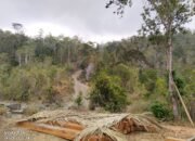 “DEFORESTASI” Temuan Kayu Bantalan Diduga Hasil Ilegal Logging Di Hutan Lindung Kalemba, Siap Diangkut